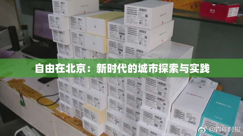自由在北京：新时代的城市探索与实践
