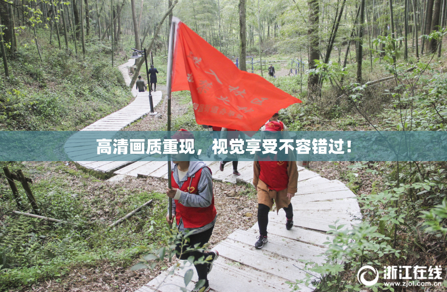 高清画质重现，视觉享受不容错过！