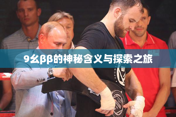 9幺ββ的神秘含义与探索之旅