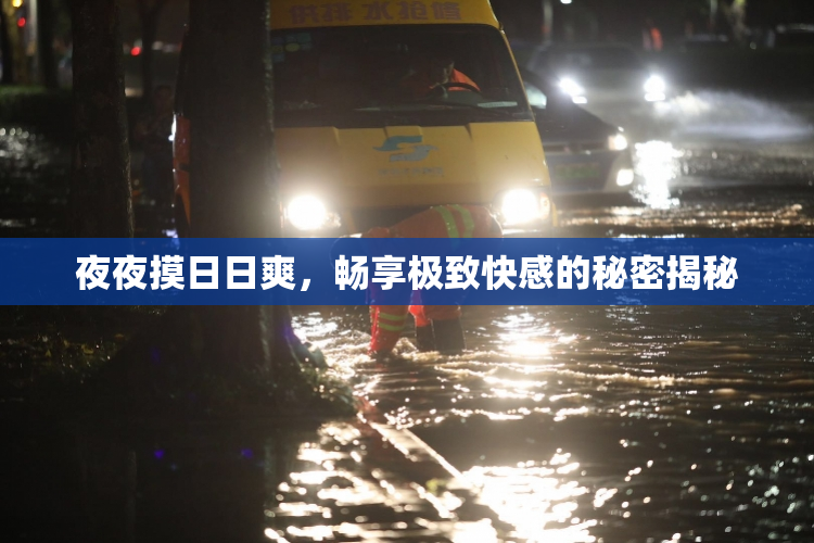 夜夜摸日日爽，畅享极致快感的秘密揭秘
