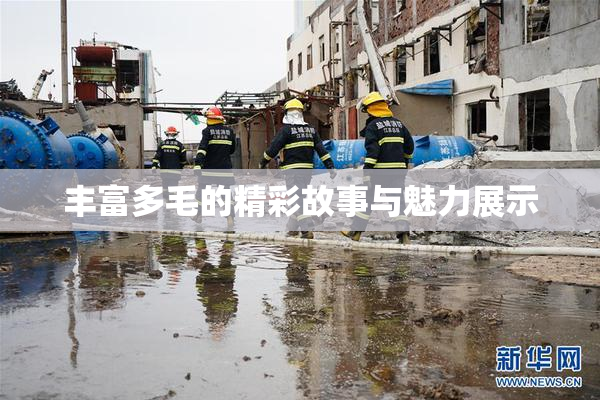 丰富多毛的精彩故事与魅力展示