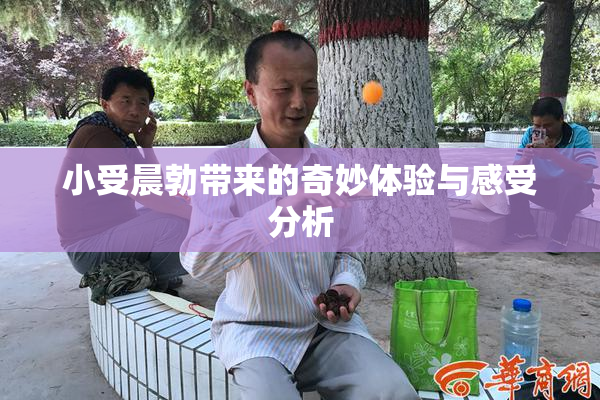 小受晨勃带来的奇妙体验与感受分析