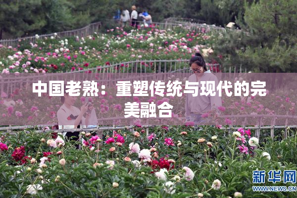 中国老熟：重塑传统与现代的完美融合
