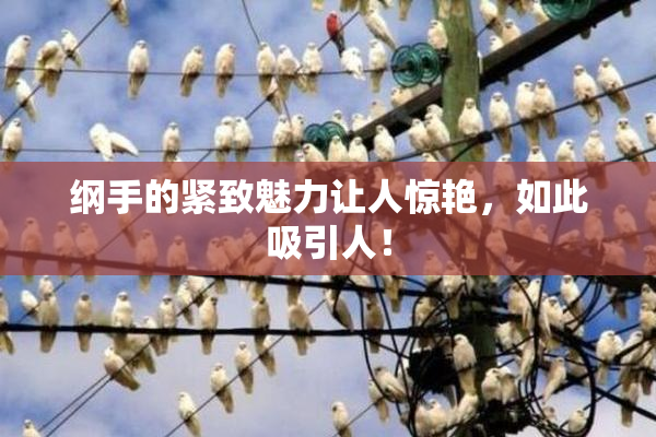 纲手的紧致魅力让人惊艳，如此吸引人！