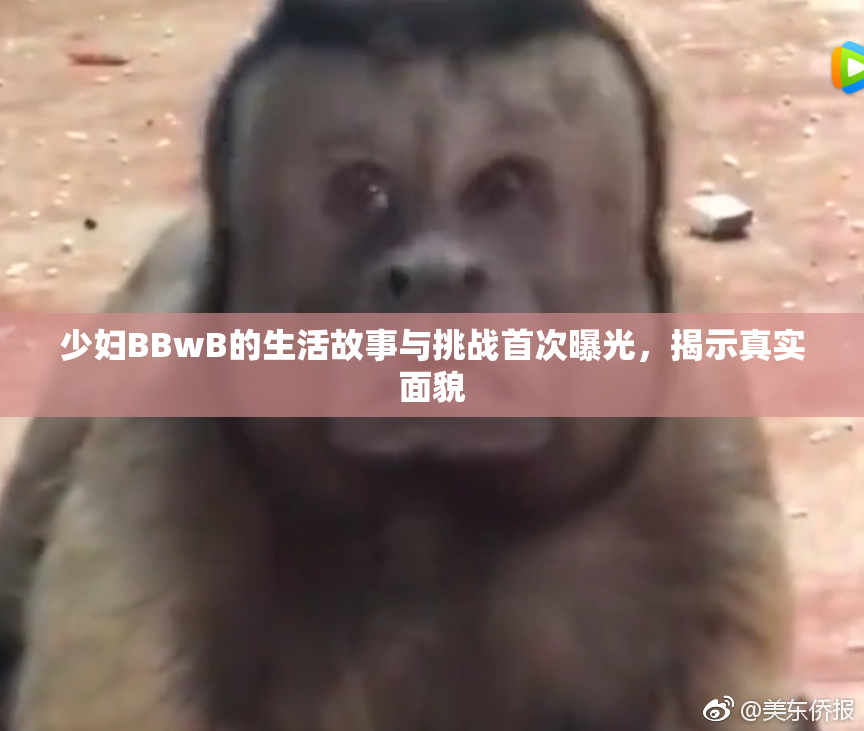 少妇BBwB的生活故事与挑战首次曝光，揭示真实面貌