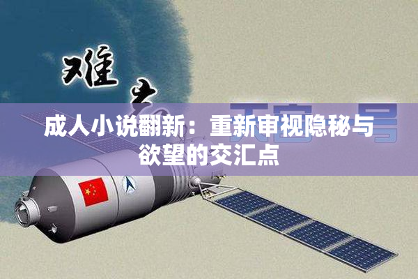 成人小说翻新：重新审视隐秘与欲望的交汇点
