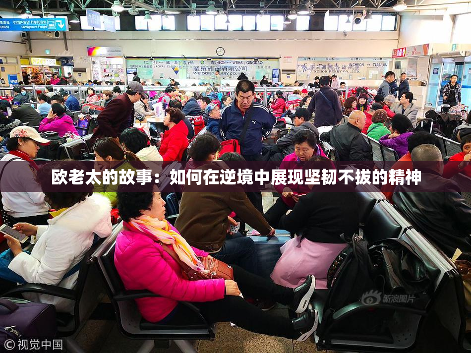 欧老太的故事：如何在逆境中展现坚韧不拔的精神