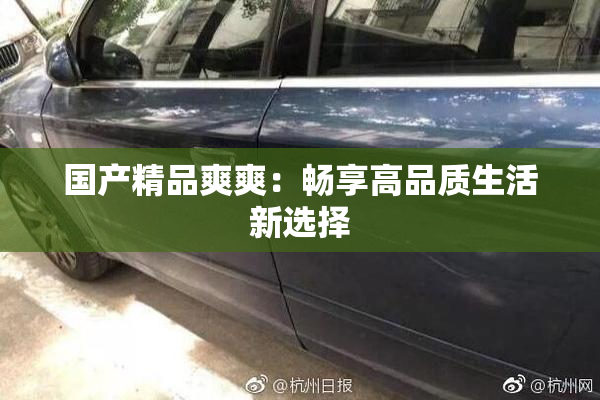 国产精品爽爽：畅享高品质生活新选择