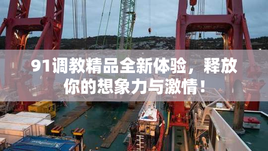 91调教精品全新体验，释放你的想象力与激情！