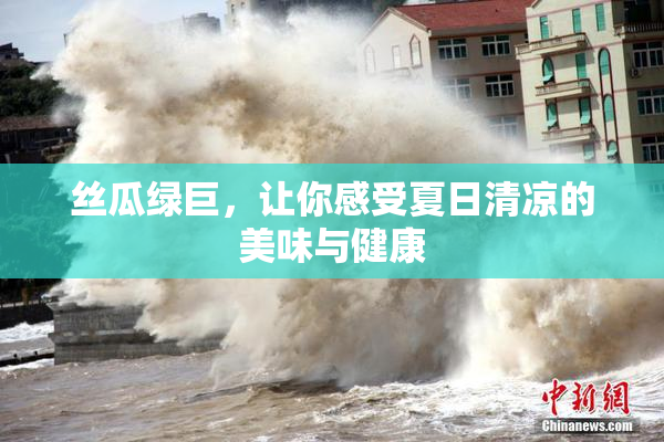 丝瓜绿巨，让你感受夏日清凉的美味与健康