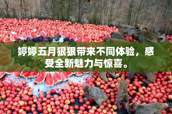 婷婷五月狠狠带来不同体验，感受全新魅力与惊喜。