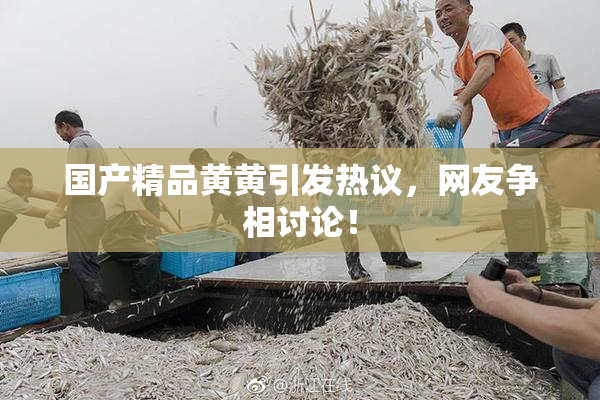 国产精品黄黄引发热议，网友争相讨论！