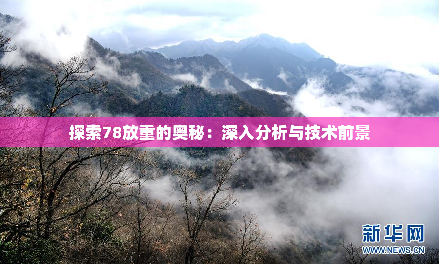 探索78放重的奥秘：深入分析与技术前景