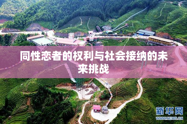 同性恋者的权利与社会接纳的未来挑战