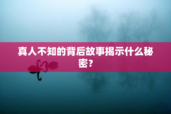 真人不知的背后故事揭示什么秘密？
