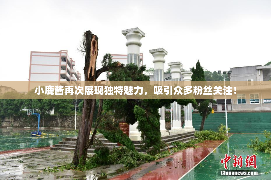 小鹿酱再次展现独特魅力，吸引众多粉丝关注！