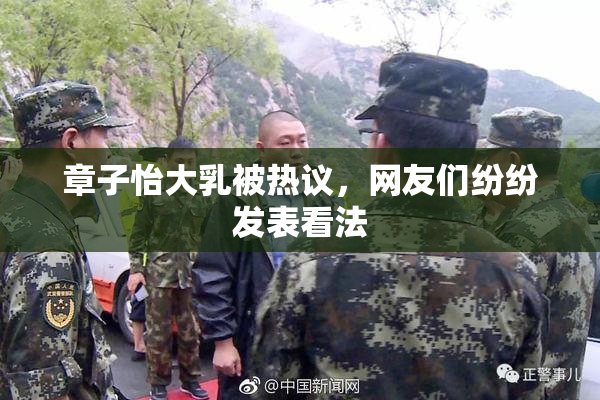章子怡大乳被热议，网友们纷纷发表看法