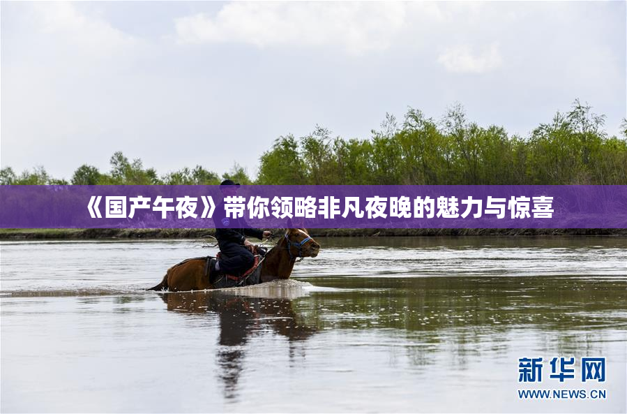 《国产午夜》带你领略非凡夜晚的魅力与惊喜