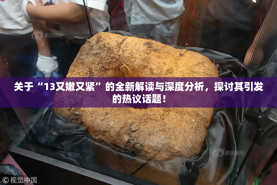 关于“13又嫩又紧”的全新解读与深度分析，探讨其引发的热议话题！