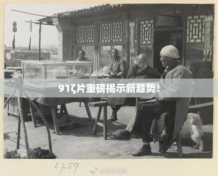 91ζ片重磅揭示新趋势！