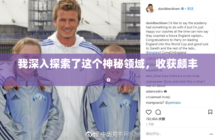 我深入探索了这个神秘领域，收获颇丰。