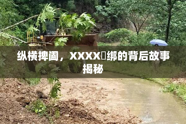 纵横捭阖，XXXX秵绑的背后故事揭秘