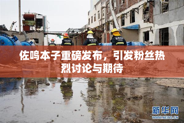 佐鸣本子重磅发布，引发粉丝热烈讨论与期待