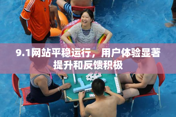 9.1网站平稳运行，用户体验显著提升和反馈积极