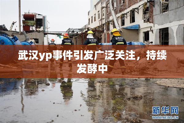 武汉yp事件引发广泛关注，持续发酵中