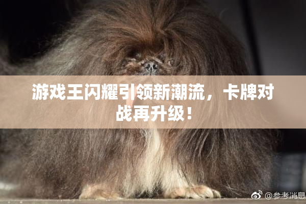 游戏王闪耀引领新潮流，卡牌对战再升级！