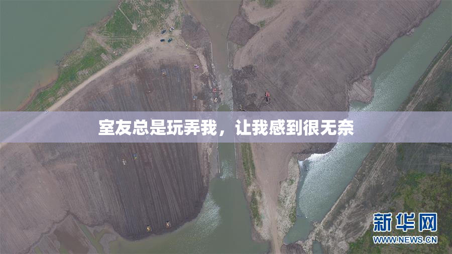 室友总是玩弄我，让我感到很无奈