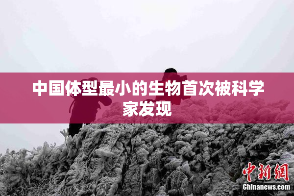 中国体型最小的生物首次被科学家发现