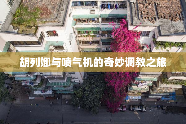 胡列娜与喷气机的奇妙调教之旅