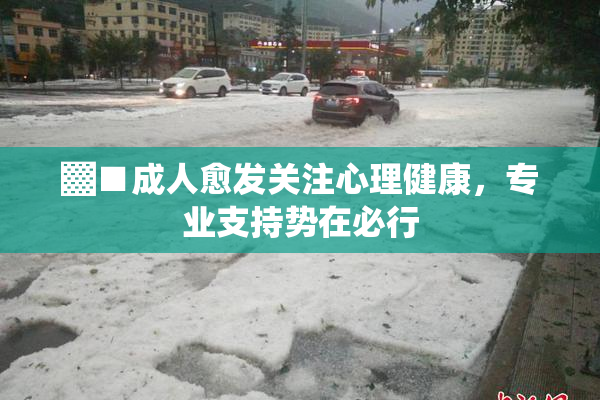▓■成人愈发关注心理健康，专业支持势在必行