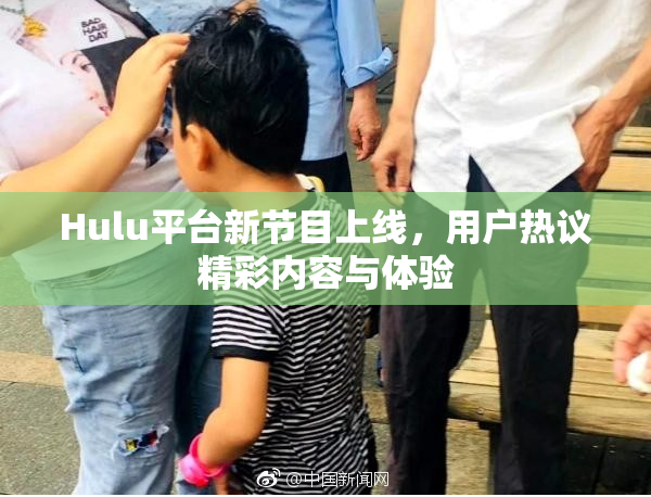 Hulu平台新节目上线，用户热议精彩内容与体验