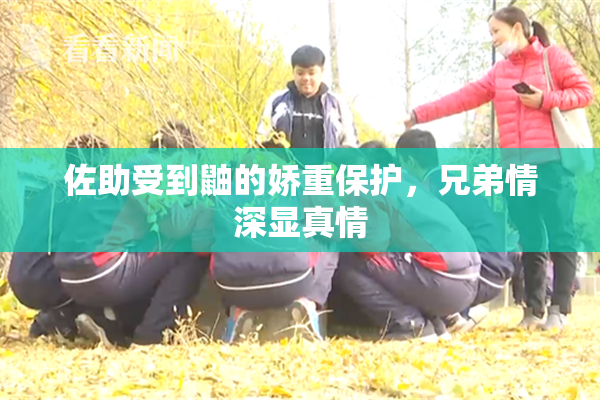 佐助受到鼬的娇重保护，兄弟情深显真情