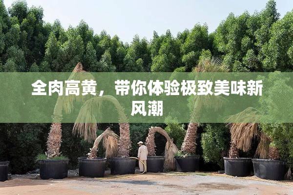 全肉高黄，带你体验极致美味新风潮