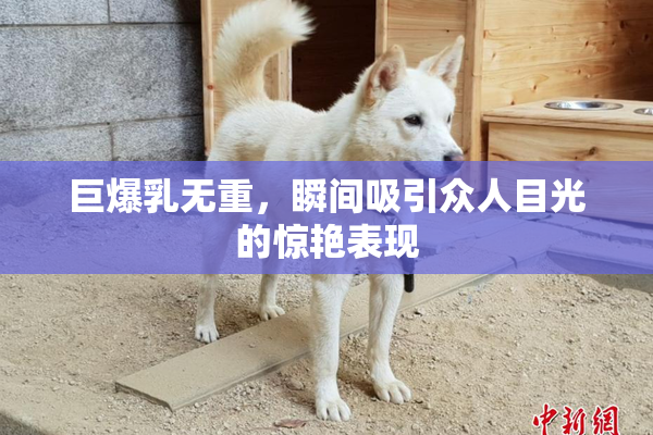 巨爆乳无重，瞬间吸引众人目光的惊艳表现