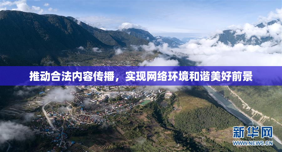 推动合法内容传播，实现网络环境和谐美好前景