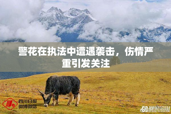 警花在执法中遭遇袭击，伤情严重引发关注