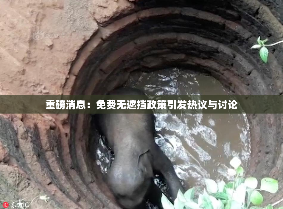 重磅消息：免费无遮挡政策引发热议与讨论