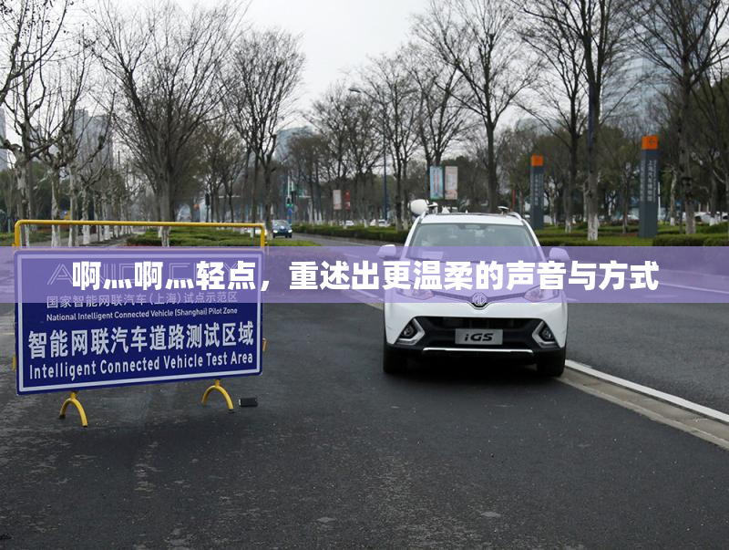 啊灬啊灬轻点，重述出更温柔的声音与方式