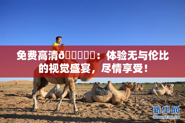 免费高清🔞❌‌：体验无与伦比的视觉盛宴，尽情享受！