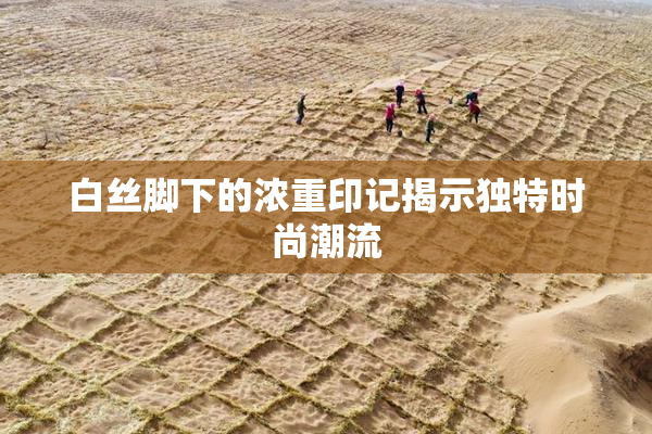白丝脚下的浓重印记揭示独特时尚潮流