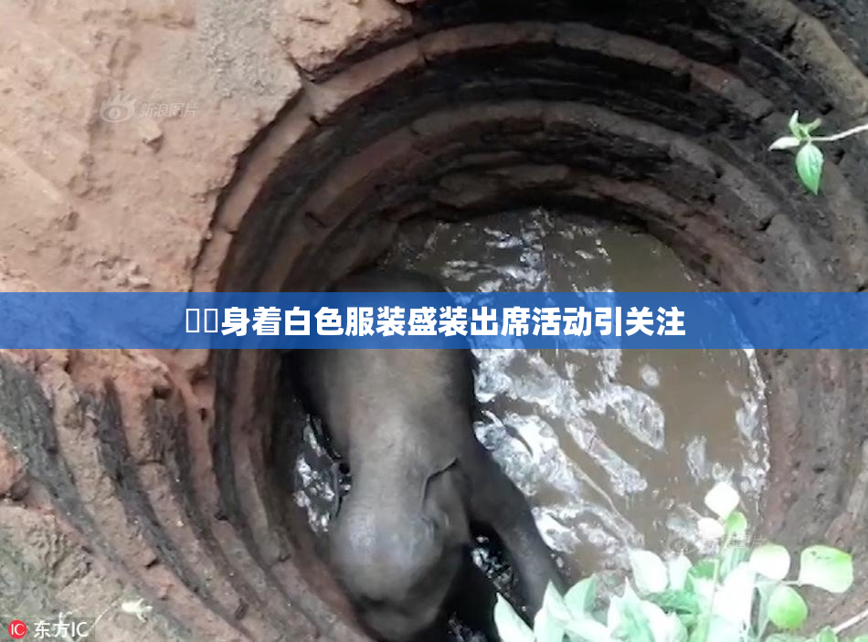 妺妺身着白色服装盛装出席活动引关注