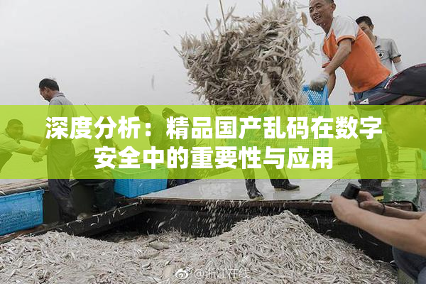 深度分析：精品国产乱码在数字安全中的重要性与应用