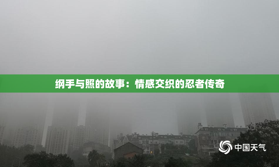 纲手与照的故事：情感交织的忍者传奇