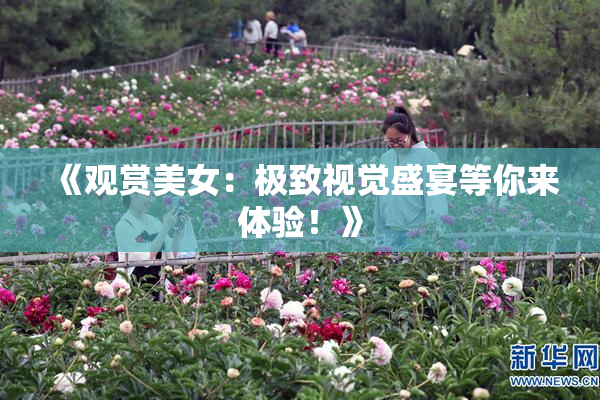 《观赏美女：极致视觉盛宴等你来体验！》