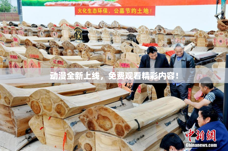 动漫全新上线，免费观看精彩内容！