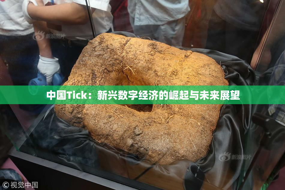 中国Tick：新兴数字经济的崛起与未来展望